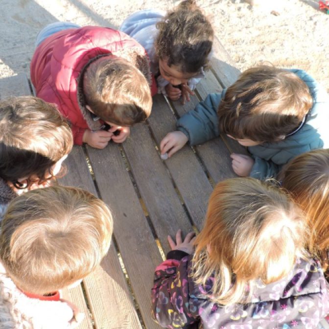 Un grup de nens/es miren el cargol a sobre d'una taula